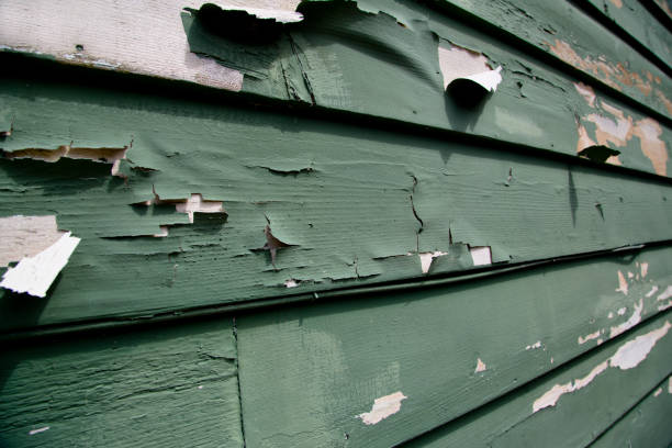 Best Siding for New Construction  in Narrows, VA