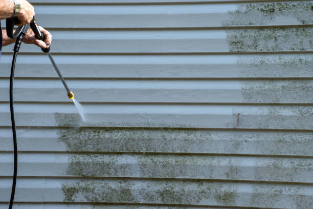 Best Engineered Wood Siding  in Narrows, VA