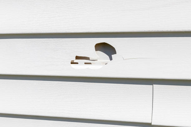Best Insulated Siding Installation  in Narrows, VA