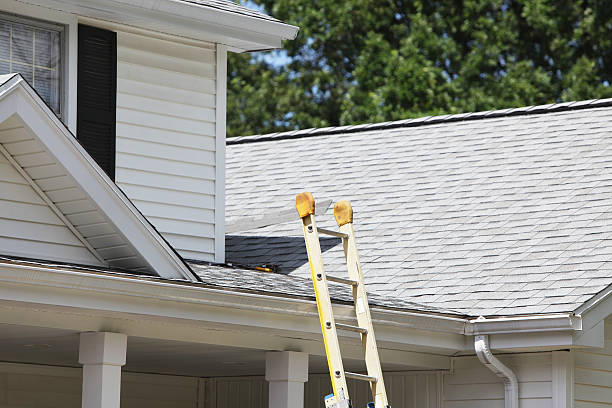 Best Storm Damage Siding Repair  in Narrows, VA